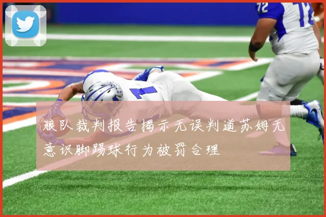 狼队裁判报告揭示无误判道苏姆无意识脚踢球行为被罚合理