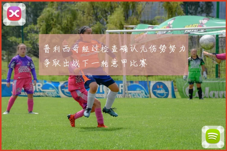 普利西奇经过检查确认无伤势努力争取出战下一轮意甲比赛