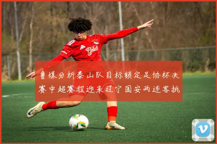 鲁媒分析泰山队目标锁定足协杯决赛中超赛程迎来辽宁国安两连客挑战